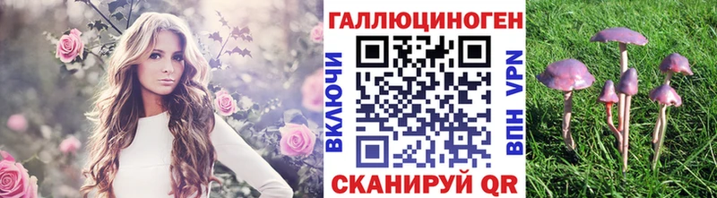 Псилоцибиновые грибы MAGIC MUSHROOMS  Белоусово 